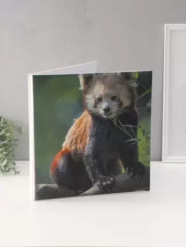 Фотоальбом магнитный 20 листов