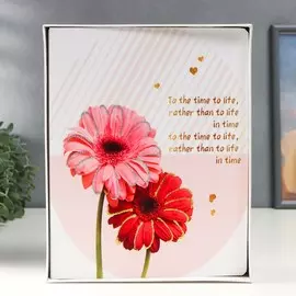 Фотоальбом на 100 фото 13х18 см