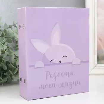 Фотоальбом на 100 фото 1318 см