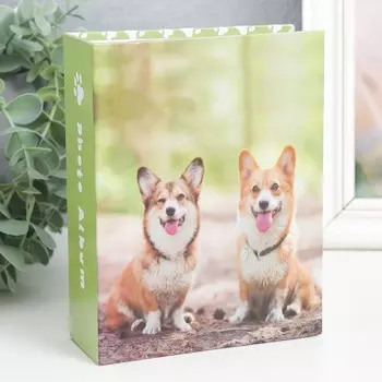 Фотоальбом на 100 фото