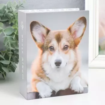 Фотоальбом на 100 фото