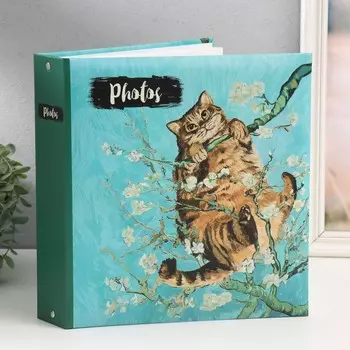 Фотоальбом на 50 магнитных листов 23х28 см, на кольцах