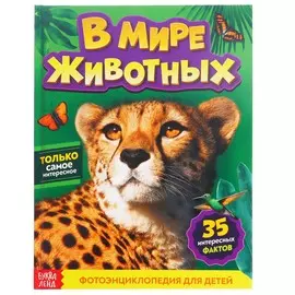 Фотоэнциклопедия для детей