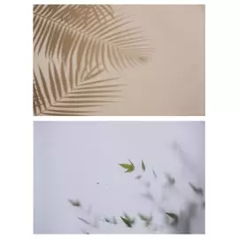 Фотофон двусторонний бумага 300 гр
