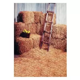 Фотофон винил