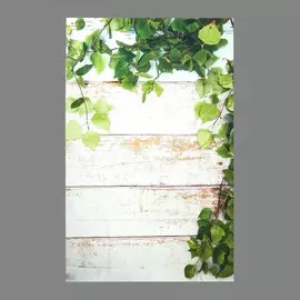 Фотофон винил