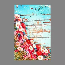 Фотофон винил