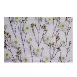 Фотофон винил