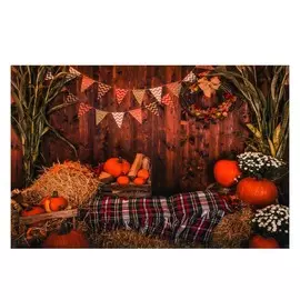 Фотофон винил