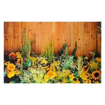 Фотофон винил