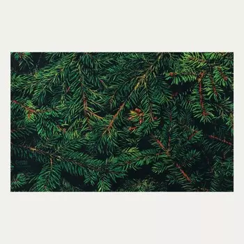 Фотофон винил