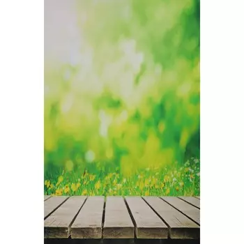 Фотофон винил