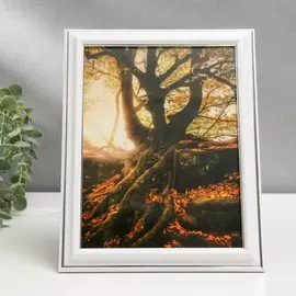 Фоторамка 15х20 281s белая с серебром (пластиковый экран)