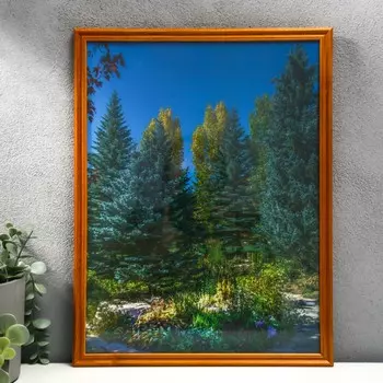 Фоторамка 30х40 (3n26) клен (пластиковый экран)