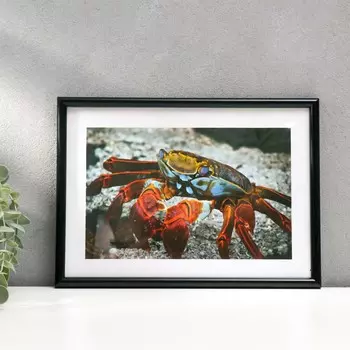 Фоторамка формат а4 21х30 см 45-n (ф) черная (пластиковый экран)