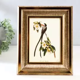 Фоторамка пластик 13х18 см