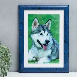 Фоторамка пластик 21х30 см 742 бирюза (пластиковый экран)