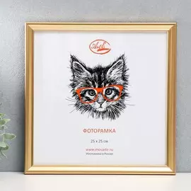 Фоторамка пластик 25х25 см, золото( пластиковый экран)