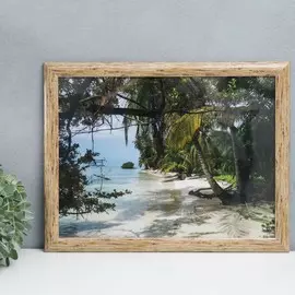 Фоторамка пластик 30х40 см 742 ольха (пластиковый экран)