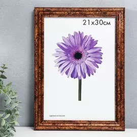 Фоторамка пластик adele 21х30 см бронза