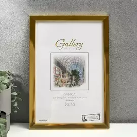 Фоторамка пластик gallery 20х30 см, 641811 золото (пластиковый экран)