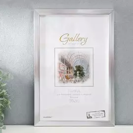 Фоторамка пластик gallery 20х30 см, 641822-8, серебро (пластиковый экран)