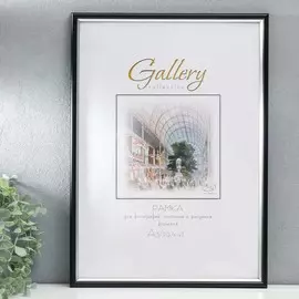 Фоторамка пластик gallery 29.7х42 см, 636477, чёрный с серебром (пластиковый экран)