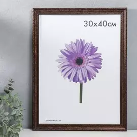 Фоторамка пластик simona 30х40 см бронза