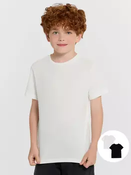 Футболка для мальчиков 2шт.