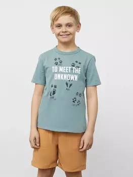 Футболка для мальчиков