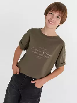 Футболка для мальчиков коричневая из коллекции