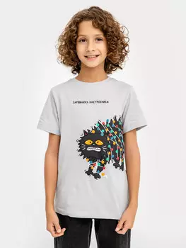 Футболка для мальчиков светло-серая с печатью