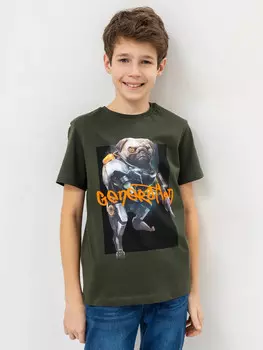 Футболка для мальчиков в цвете