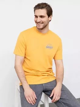 Футболка мужская