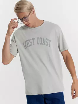 Футболка мужская серая с печатью