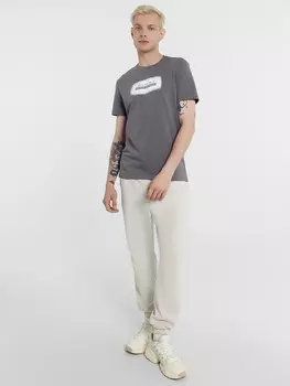 Футболка мужская темно-серая с печатью