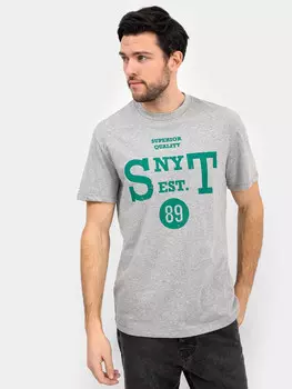 Футболка мужская в цвете