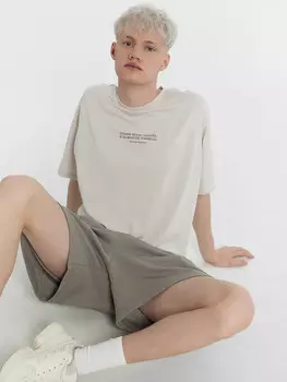 Футболка мужская в сером цвете с печатью