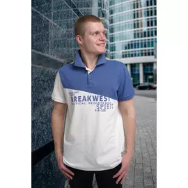 Футболка поло