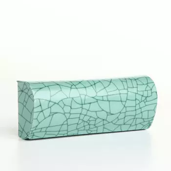 Футляр для очков на хлопушке, с принтом, размер 15.55.53 см, зеленый