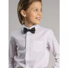 Галстук бабочка