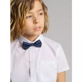 Галстук бабочка