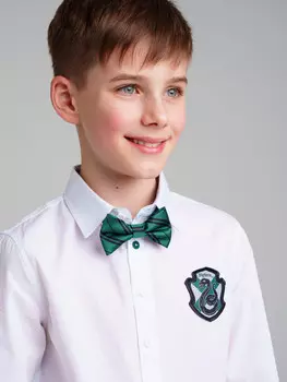 Галстук бабочка