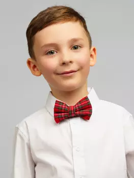 Галстук бабочка