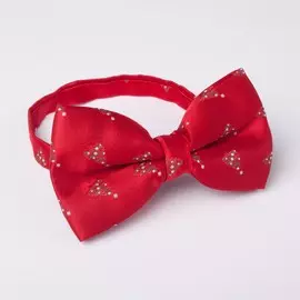 Галстук-бабочка