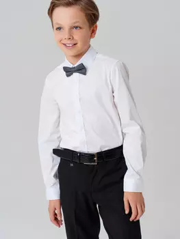 Галстук бабочка