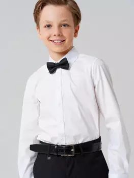 Галстук бабочка