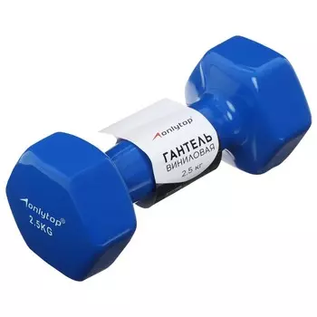 Гантель виниловая onlytop, 2,5 кг, цвет синий