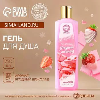 Гель для душа, 250 мл, аромат ягодного шоколада, aroma sound by ural lab