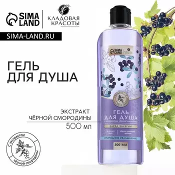 Гель для душа с экстрактом черной смородины, заряд энергии, 500 мл, кладовая красоты